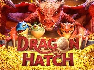 Dragon Hatch icon